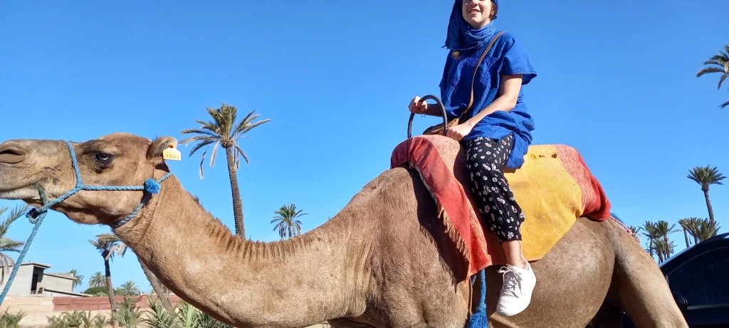 Agafay camel ride at sunset