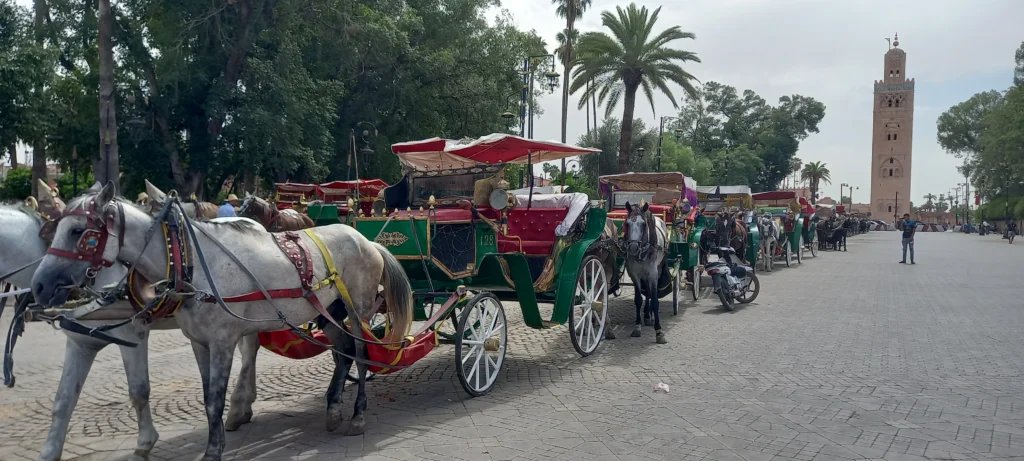 Marrakech carriage ride at dusk